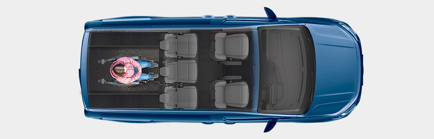 FreedomVista RSX