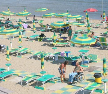 CFS beach birds eye