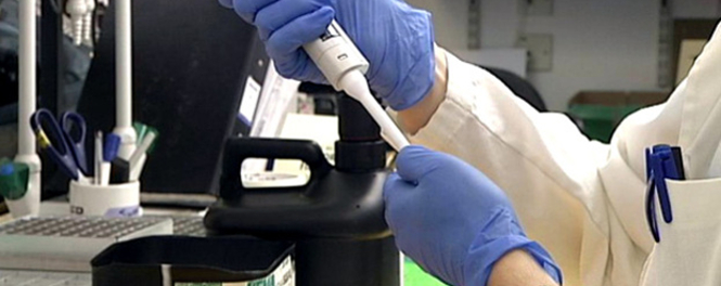 plant extract could help babies with reduced mobility