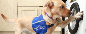 walking with the wounded disabilities