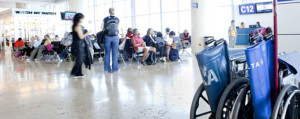 wheelchair accessible vehicles