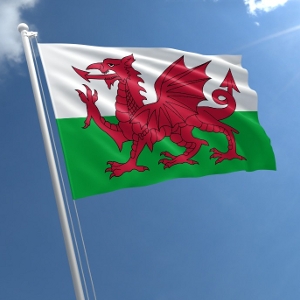 Wales 350 x 300