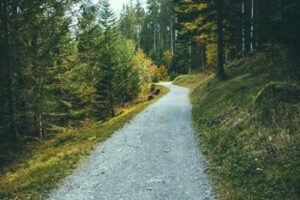 A hiking trail with trees on either side during the day