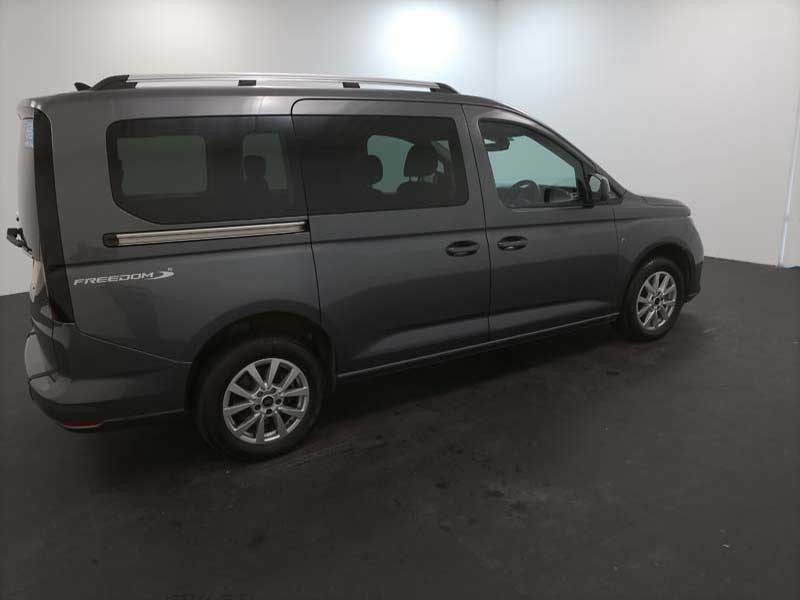 Ford Grand Freedom RE