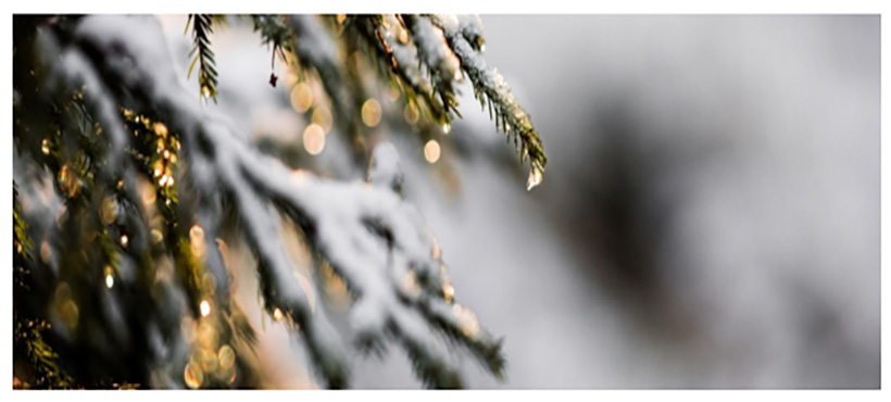 Is Your WAV Ready for Winter?