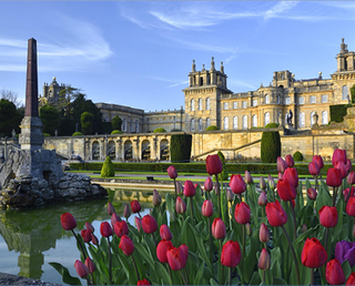 blenheim palace