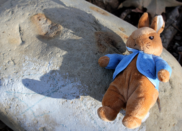 A stuffed Peter Rabbit toy wearing a blue jacket lying on a textured rock, with its shadow cast clearly on the stone surface.
