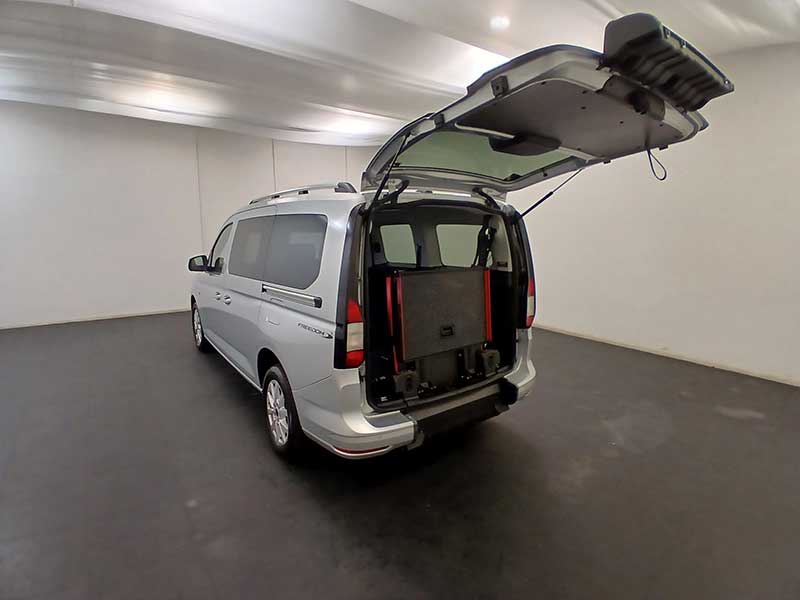 Ford Grand Freedom RE