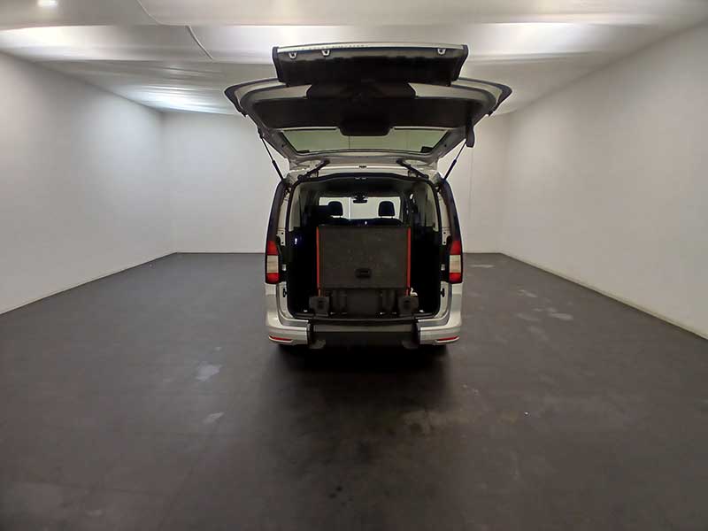 Ford Grand Freedom RE