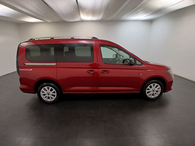Ford Freedom Grand RE
