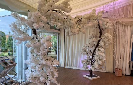 Two artificial trees with white blossoms form an arch inside a bright, decorated room featuring wheelchair accessible vehicles (WAVs). The space includes white curtains, a wooden floor, and soft purple lighting that highlights the WAVs. Subtle WAV patterns enhance the accessible atmosphere, whilst large windows provide views of greenery outside.